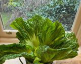 Hình bước làm 1 của món Muối dưa công thức bất bại 🥬