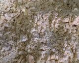 Foto del paso 3 de la receta: Pay de atún