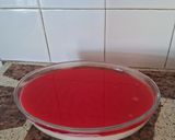 Foto del paso 10 de la receta: Postre de maicena con gelatina