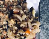 Foto del paso 5 de la receta: Chaw fan de pollo y vegetales