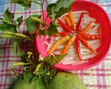 Foto langkah ke 6 dari resep Cacapan Hampalam.