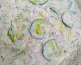 عکس مرحله 5 از دستور بورانی کدو و خیارsolmaz