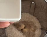 A picture of step 6 of Soft & Moist Eggless Marzipan.