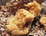 Natúr granola recept fázis 3 fotója