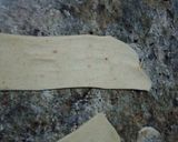 Fanafurimatakin girki3 hoto