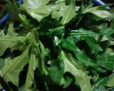 Foto langkah ke 1 dari resep Gulai Daun Pepaya Jepang.