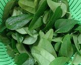 Foto langkah ke 1 dari resep Cincau Hijau (Jelly/Rambat) Homemade.