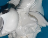 Foto del paso 4 de la receta: Suspiros de merengue
