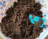Foto del paso 2 de la receta: Cheesecake de oreo