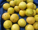 A picture of step 1 of Lemon pickle.