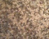 મગ ની દાળ (Moong Dal Recipe In Gujarati) રેસીપી સ્ટેપ1ફોટો