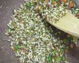 A picture of step 2 of Fried rice from leftover rice.