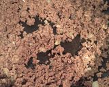 Foto del paso 2 de la receta: Berenjenas gratinadas