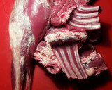 Foto del paso 1 de la receta: Cabrito en salsa de cebolla roja y ras el hanout
