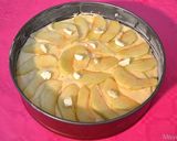 Foto del passaggio 7 della ricetta Torta di mele