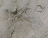 Foto del paso 3 de la receta: Ciabatta