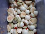 Cà muối sỏi