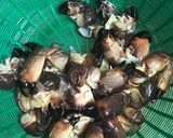 Hình bước làm 1 của món Cù kì rang me