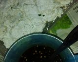 Foto langkah ke 2 dari resep Cireng Sambal Rujak / Enak dan Gurih, anti meledak.