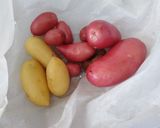 Foto del passaggio 2 della ricetta Patate novelle al cartoccio 🥔🥔🥔