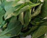 પાલક દાળ નુ શાક(palak dal sabji Recipe in Gujarati) રેસીપી સ્ટેપ1ફોટો
