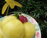 Foto langkah ke 7 dari resep Bakpau Isi Kacang.