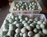 Foto langkah ke 1 dari resep Telur asin gurih.