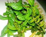 A picture of step 1 of Mint Tea.