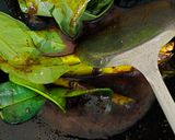 Foto langkah ke 2 dari resep 390. Gulai Ikan Kakap.