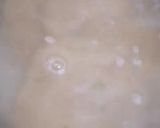 A picture of step 6 of Hasawi Kibbeh (Hasawi-Style Wheat Dumplings).