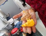 A picture of step 5 of Rajgira coconut modak.