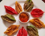 A picture of step 20 of Colourful Mathri.