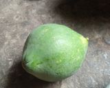 পেঁপের ডালনা(peper dalna recipe in Bengali) রেসিপি ধাপ - 1 ছবি