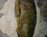 صورة لخطوة 3 من وصفة سمك بلطى مقلى🐟😋