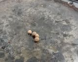 Foto del paso 3 de la receta: Estofado de cerdo