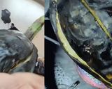 A picture of step 2 of Baingan Bharta | Baingan bharta recipe in a village style.