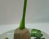 Foto del paso 4 de la receta: Mini huerta de paté hígado de pollos