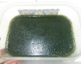 Foto langkah ke 4 dari resep Cincau ijo asli.
