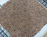 Foto langkah ke 6 dari resep Rice Crispy Brownies.