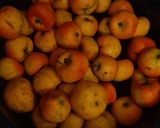 Foto del paso 2 de la receta: Tejocotes en miel