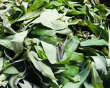 A picture of step 1 of Chigwada (Cassava leaves in groundnut flour).
