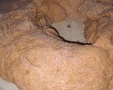 Foto del paso 2 de la receta: Rosca de reyes!! Súper rica y sencilla de hacer!!!