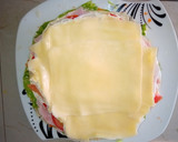 Foto del paso 4 de la receta: Torre de Panqueques - Fiambre Alemán
