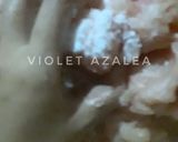 Foto langkah ke 4 dari resep Sate Ikan Tanpa Sayur Khas Palembang ala Violet Azalea.