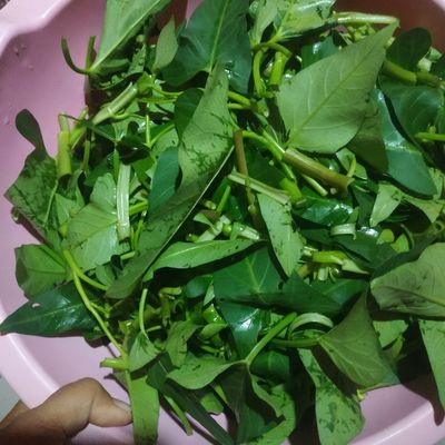 Langkah 1
