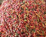 Foto langkah ke 3 dari resep Kecap Manis Cabe Bawang.