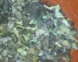A picture of step 5 of Amala with dry okro soup.