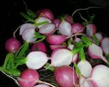 Foto del paso 5 de la receta: Rabanitos