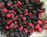 A picture of step 1 of Mulberry shots.