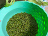 Bubur kacang hijau